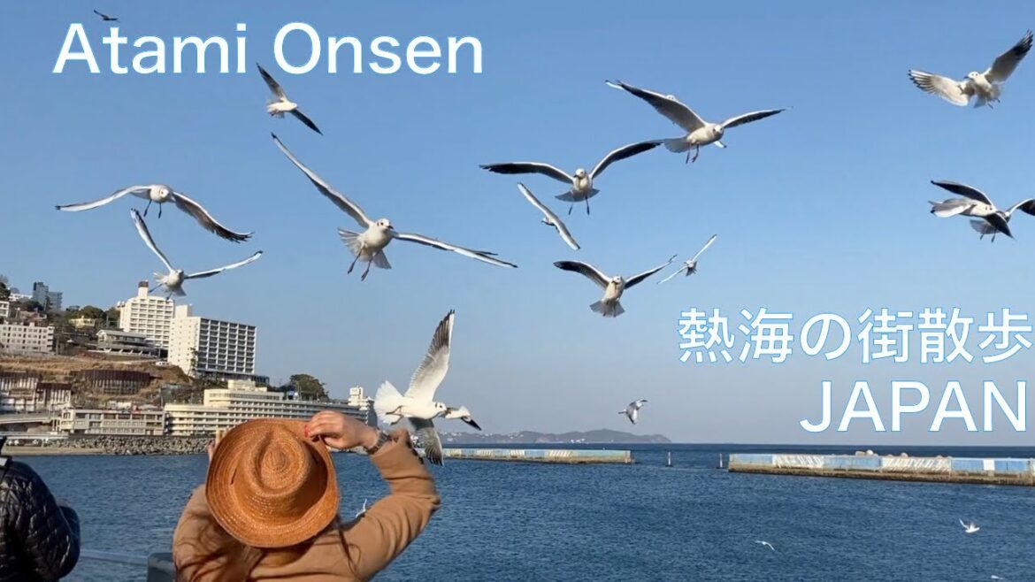 【熱海ひとり旅】熱海温泉の街散策　海岸沿い～古い街並み～ナイトウォーク　JAPAN TRAVEL：Atami Onsen Town　静岡 観光